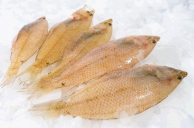 pelaies peix fresc peixateria vilafranca