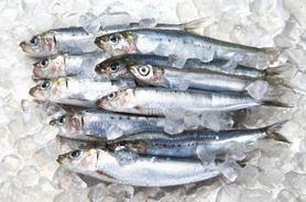 sardina peix fresc peixateria vilafranca